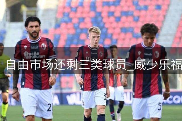 自由市场还剩三类球员 威少乐福领衔失业大军？